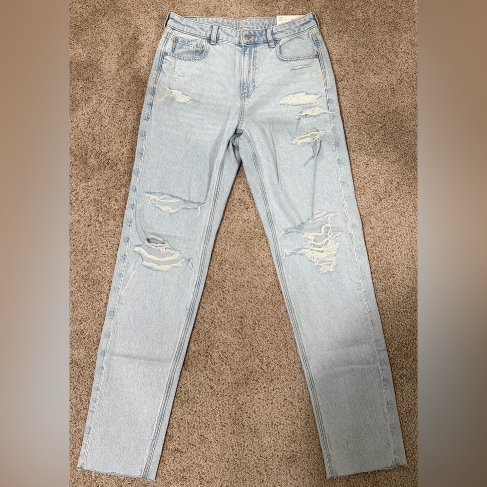 American Eagle Outfitters Distressed Strigid Mom Jean